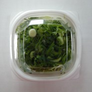 葱リング（小）